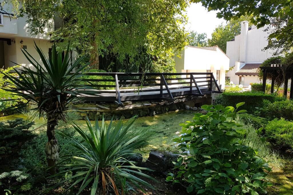 Apartment In The Picturesque Oasis Resort & Spa Лозенец Экстерьер фото